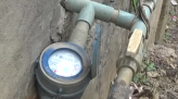 Phát huy tiềm năng giá trị từ cây mít