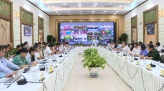 Tết ở vườn rau đầu nguồn sông Tiền