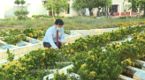 Thu hút người lao động vào tổ chức công đoàn