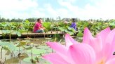 Vượt dốc - 29/10/2021: Ông Lê Minh Chánh (Mỹ Hội, H.Cao Lãnh)