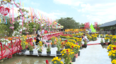 Tài tử miệt vườn - Sân chơi giúp tỏa sáng đam mê
