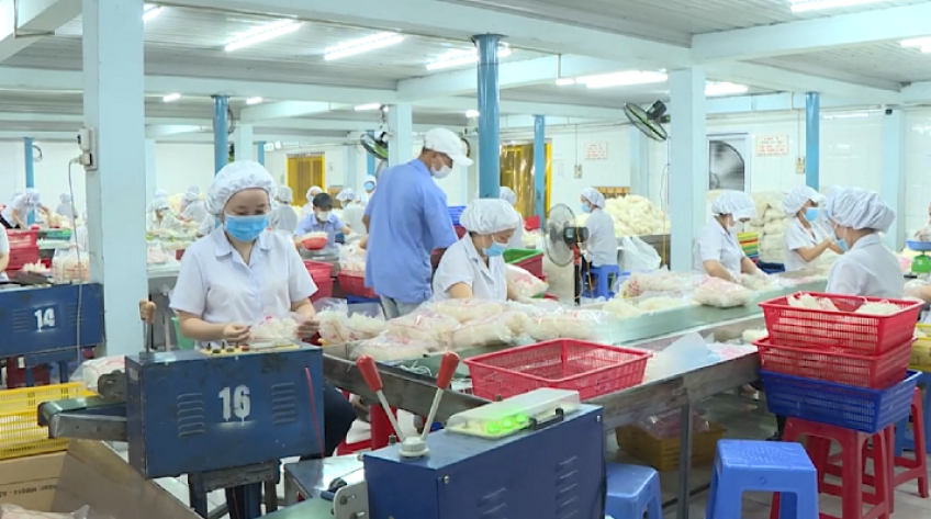 Thị trường Nhật Bản: Cơ hội cho doanh nghiệp Đồng Tháp
