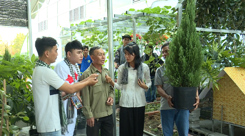 Mang hoa kiểng lên sóng livestream