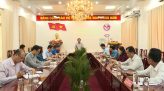 Cúc bách nhật nhiều màu tại làng hoa Sa Đéc hút khách