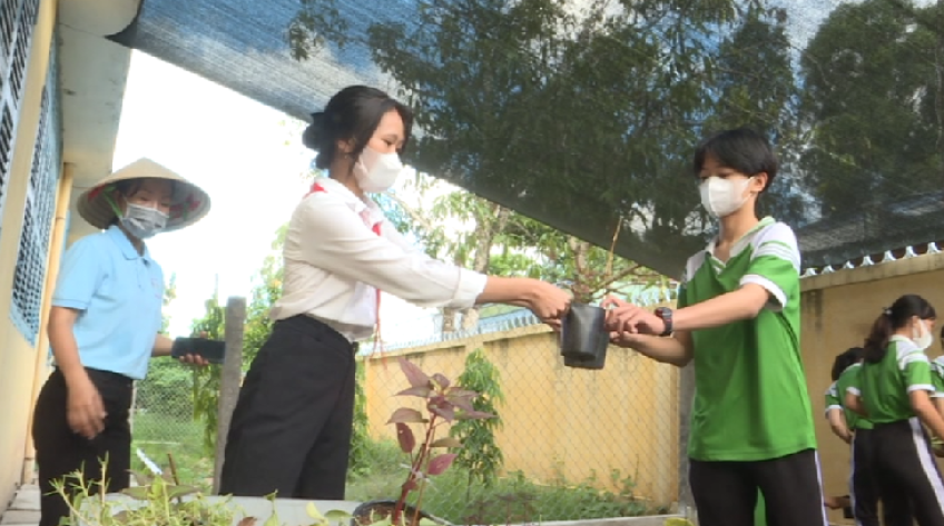 Ngày chủ nhật xanh của tuổi trẻ đất sen hồng