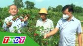 Nông dân @ - 12/8/2022: Nông dân thử thách với cây trồng mới