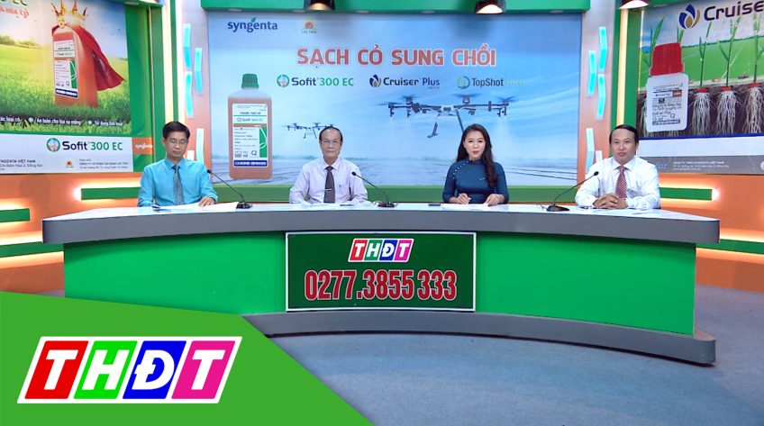 Tư vấn Khuyến nông - 3/5/2021 - Sạch cỏ sung chồi