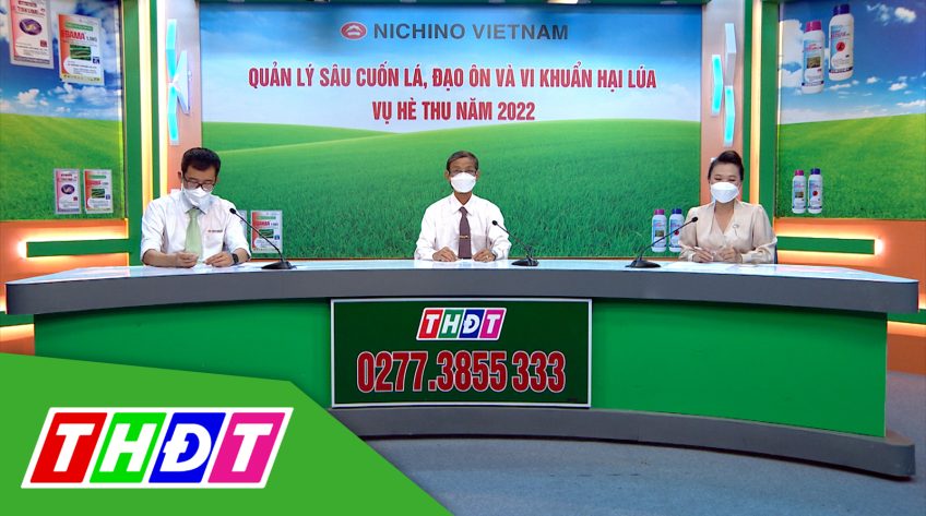 Tư vấn Khuyến nông - 9/5/2022 -Quản lý sâu cuốn lá, đạo ôn và vi khuẩn hại lúa vụ Hè thu 2022