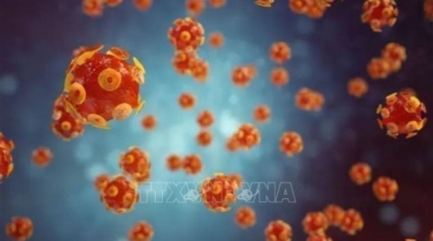 WHO cảnh báo công tác loại trừ viêm gan tiến triển chậm