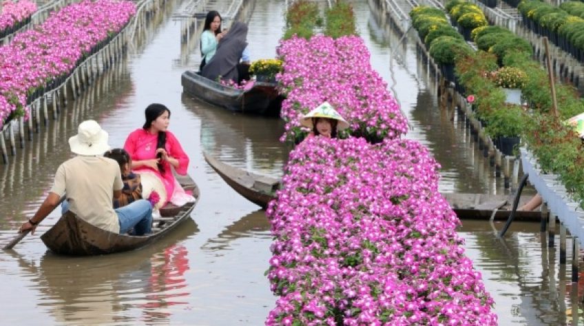 Đồng Tháp kết hợp giữa “xanh” và “số” để nâng tầm sản phẩm du lịch