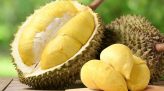 Tác giả Huỳnh Anh xúc động xem lại 