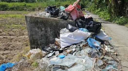 Rủi ro ô nhiễm từ bao bì thuốc bảo vệ thực vật