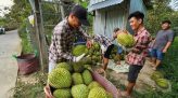 Bùi Đình Khánh và 3 đồng phạm bị tuyên án tử hình