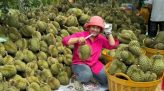 WHO cảnh báo 'khủng hoảng thiếu vận động' ở giới trẻ Việt Nam
