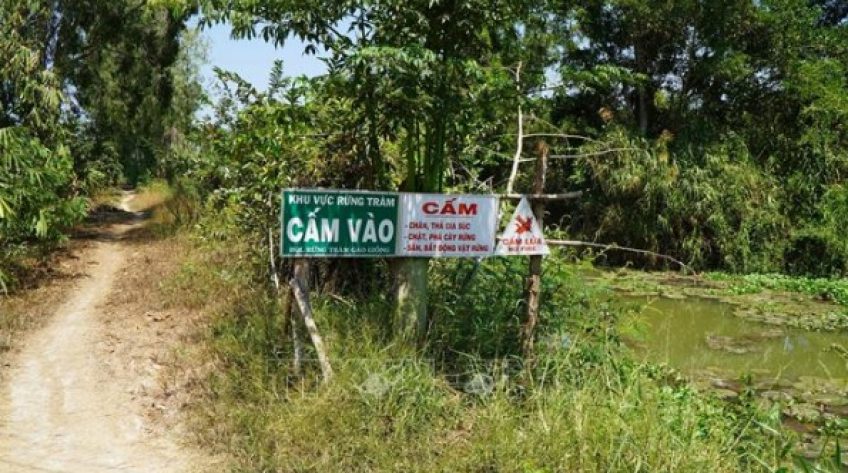 Nhiều khu vực ở Đồng Tháp dự báo cháy rừng cấp cực kỳ nguy hiểm