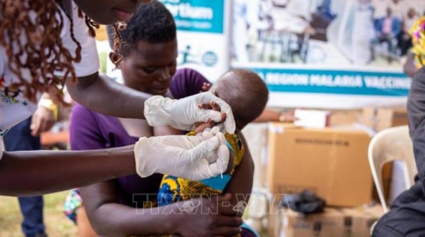WHO lần đầu phê duyệt thuốc điều trị sốt rét dành riêng cho trẻ sơ sinh và trẻ nhỏ