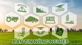 Bản tin nông nghiệp - 26/11/2025