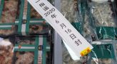 Người qua vùng dịch chủ động cách ly tại nhà