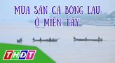 Giáo dục nhìn từ mối quan hệ thầy trò