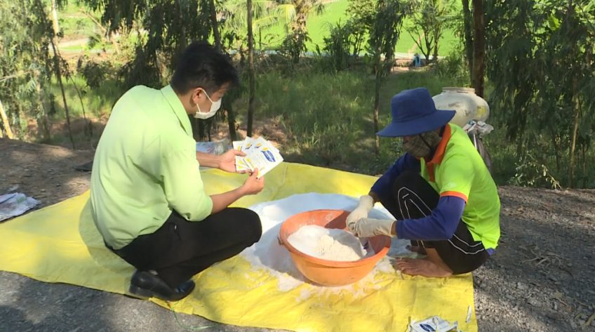 Cánh đồng hội nhập - 06/11/2021: Một lần rải hai lần phun giải pháp phòng trừ vi khuẩn