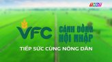 Cánh đồng hội nhập - 04/12/2025: Quản lý vi khuẩn hiệu quả vụ Đông Xuân