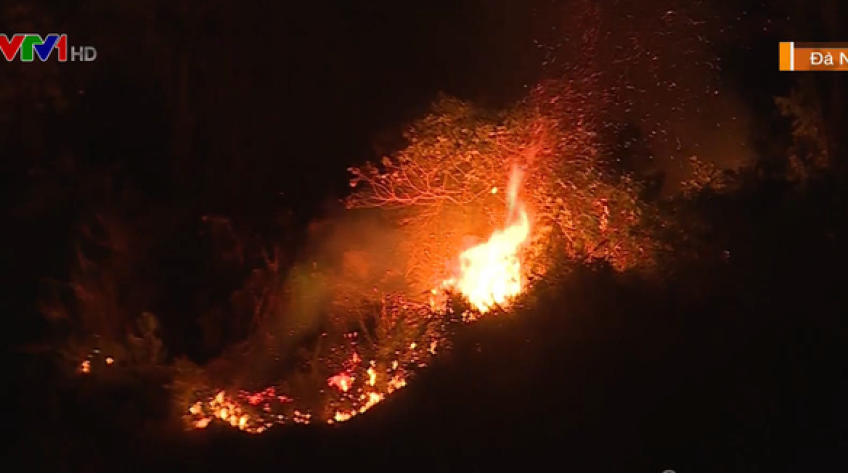 Cháy rừng tại Đà Nẵng, hàng trăm người dập lửa trong đêm