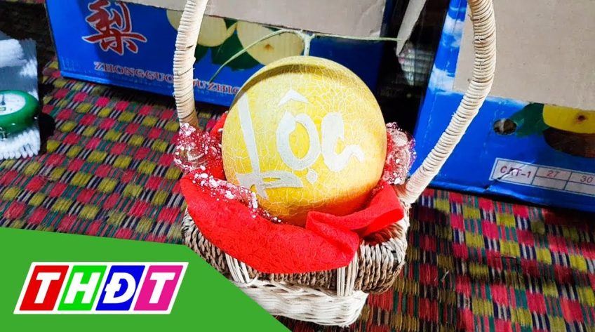 Thu hoạch dưa lưới thư pháp giá 1 triệu đồng/cặp