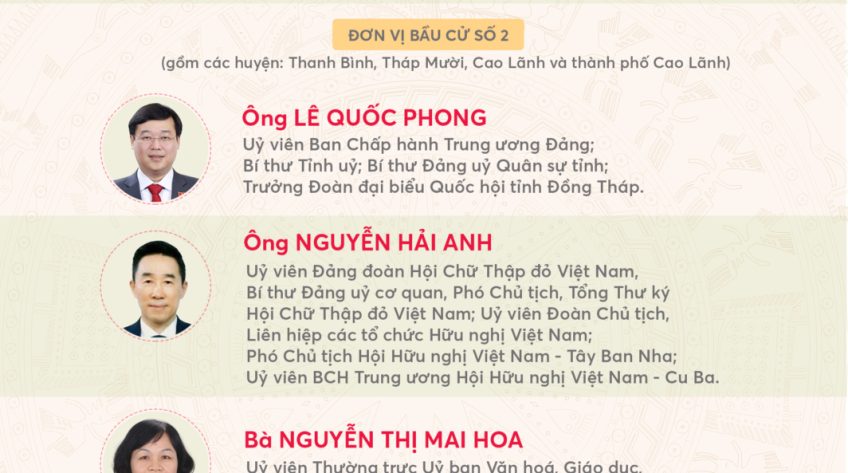 [Infographic 8 đại biểu trúng cử Đại biểu Quốc hội khoá XV, đơn vị tỉnh Đồng Tháp]