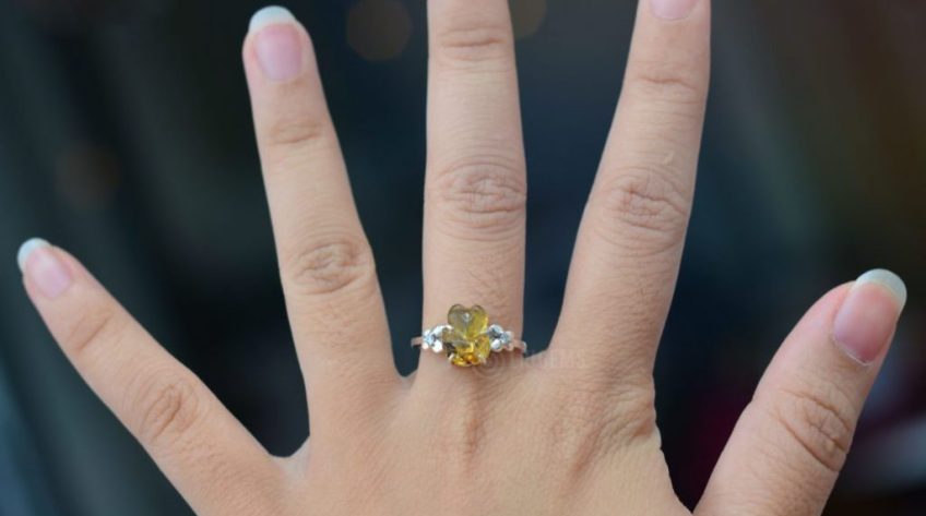 TP.Cao Lãnh: Bắt đối tượng lừa trẻ em lấy trang sức