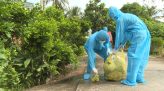 Sử dụng giấy đi đường trong thời gian thực hiện Chỉ thị 16