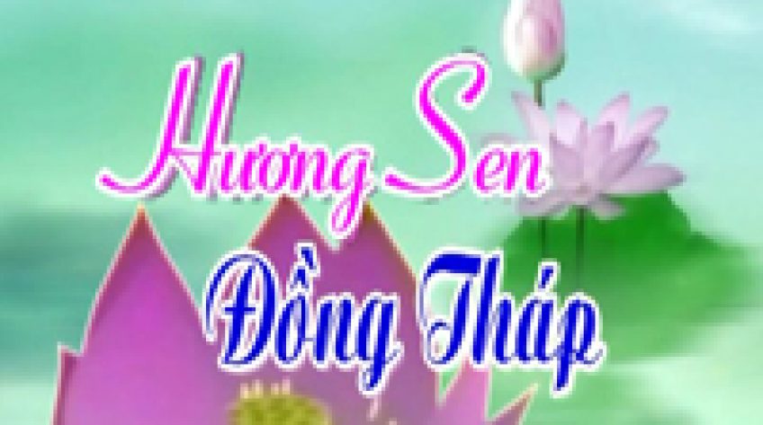 Hương sen Đồng Tháp - 21/6/2019