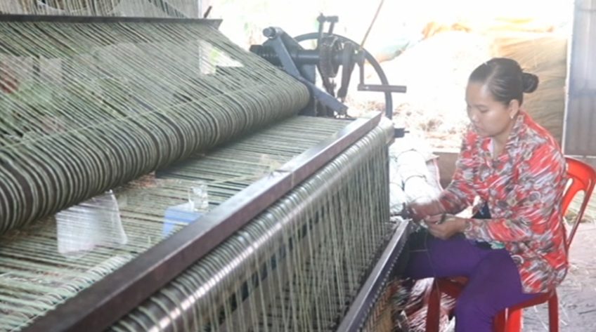 Làng nghề chiếu tất bật chuẩn bị Tết