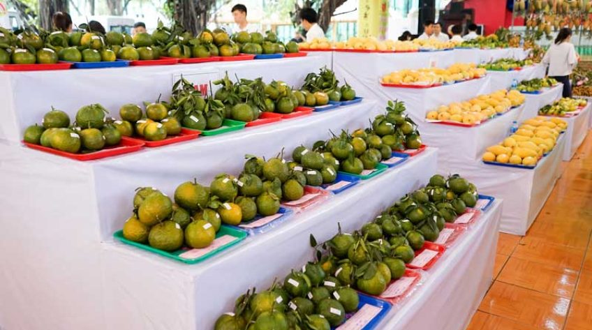 Nhà vườn Đồng Tháp đạt 22 giải tại Hội thi Trái ngon - An toàn Nam bộ