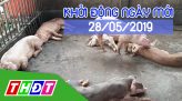 Nhịp sống thể thao - 27/5/2019