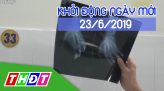 Nhịp sống thể thao - 23/6/2019