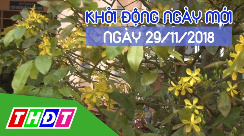 Khởi động ngày mới | 29/11/2018 - Sa Đéc: Nhiều nhà vườn lo lắng khi mai nở sớm | THDT