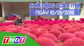 Nhịp sống thể thao - 10/01/2019