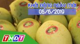 Nhịp sống thể thao - 05/6/2019