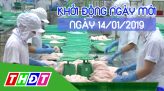 Nhịp sống thể thao - 14/01/2019