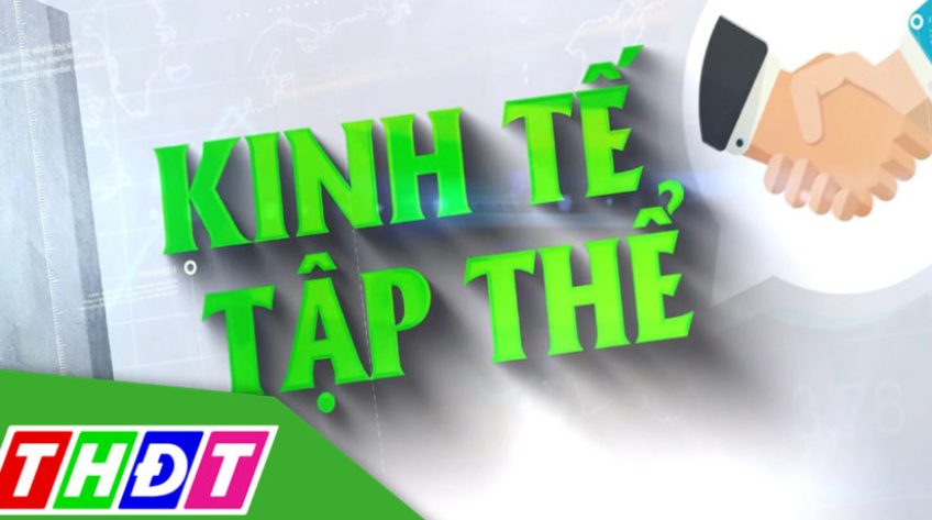 Kinh tế tập thể - 16/8/2025