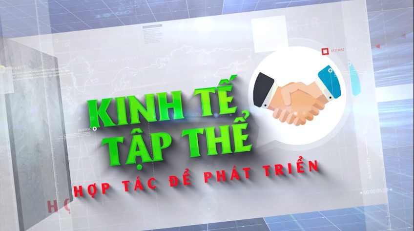 Kinh tế tập thể - 24/11/2025: Từ sức người đến công nghệ hướng đi bền vững cho HTX