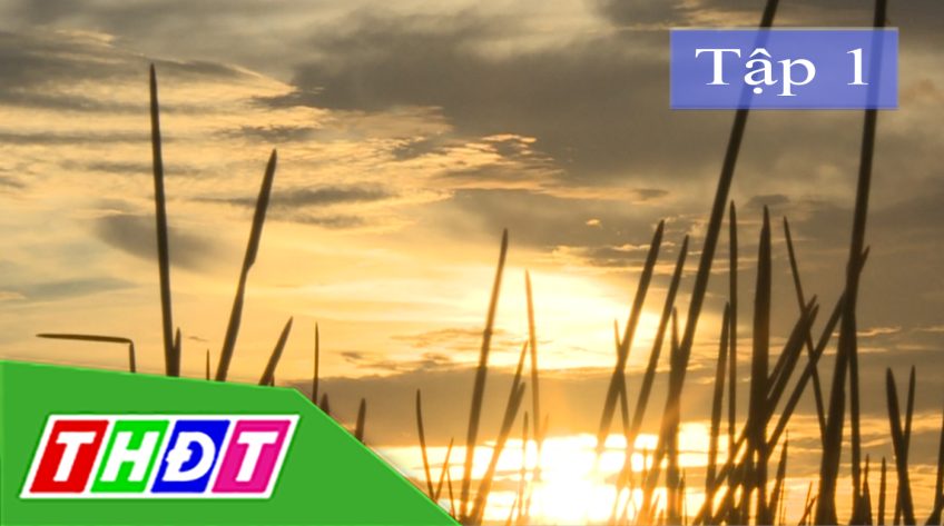 Ký sự Mật mã Đồng Tháp Mười - 24/10/2020 - Tập 1: Đồng Tháp Mười tuy quen mà lạ