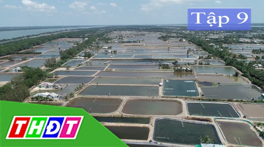 Tình người nơi hạn mặn - 05/7/2020 - Tập 9: Những dãi cù lao vượt khỏi thiên tai