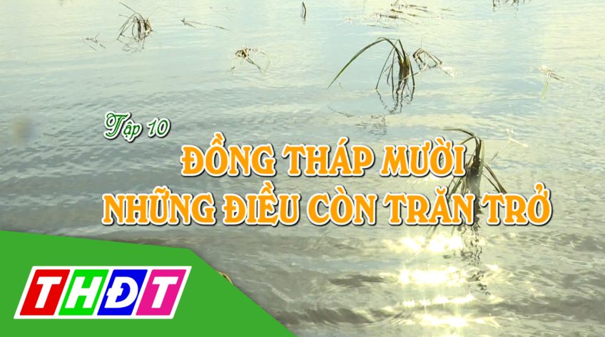 Ký sự Mật mã Đồng Tháp Mười - 26/12/2020 - Tập 10: Đồng Tháp Mười - Những điều còn trăn trở