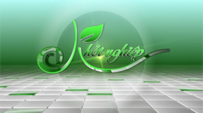 Khởi nghiệp - 12/11/2025: Khởi nghiệp F&B hương vị mới từ nông sản quê