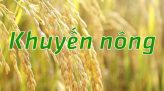 Đọc truyện văn học - 05/6/2019 - Ở đất kẻ thù - Phần 7