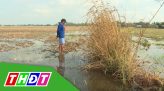Người trẻ với phong trào hiến máu nhân đạo