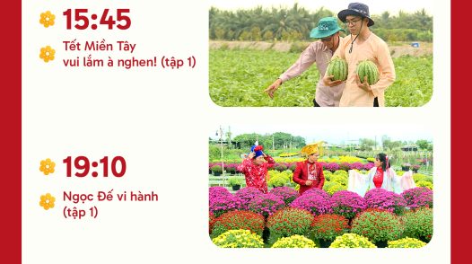 [Infographic] Chương trình Tết trên kênh THĐT1, ngày 15/2/2026 (28 Tết)