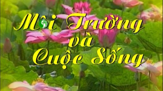 Môi trường và cuộc sống - 03/10/2025: Nông dân Đồng Tháp canh tác theo hướng hữu cơ bảo vệ môi trường