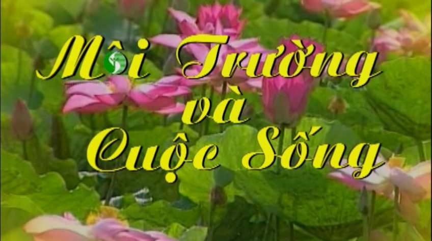 Môi trường và cuộc sống - 05/12/2025: Đẩy mạnh các hoạt động tuyên truyền công tác bảo vệ môi trường